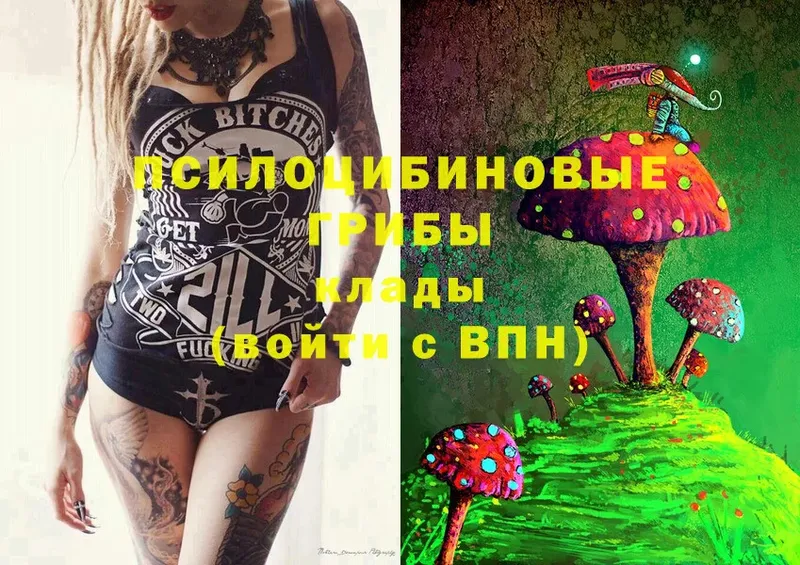 купить закладку  Тосно  omg   Псилоцибиновые грибы Magic Shrooms 